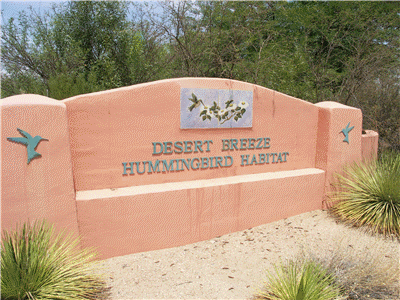 Chandler Hummingbird Habitat